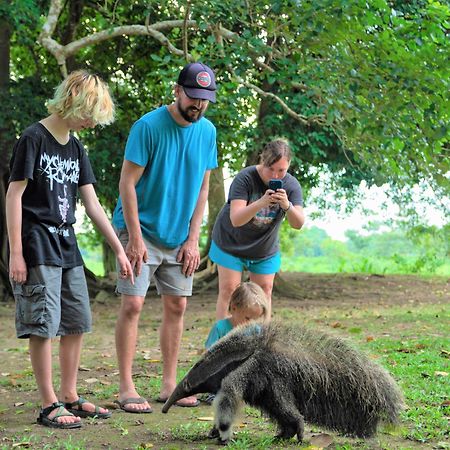 Avatar Amazon Lodge & Canopy Park Santa Teresa  Εξωτερικό φωτογραφία