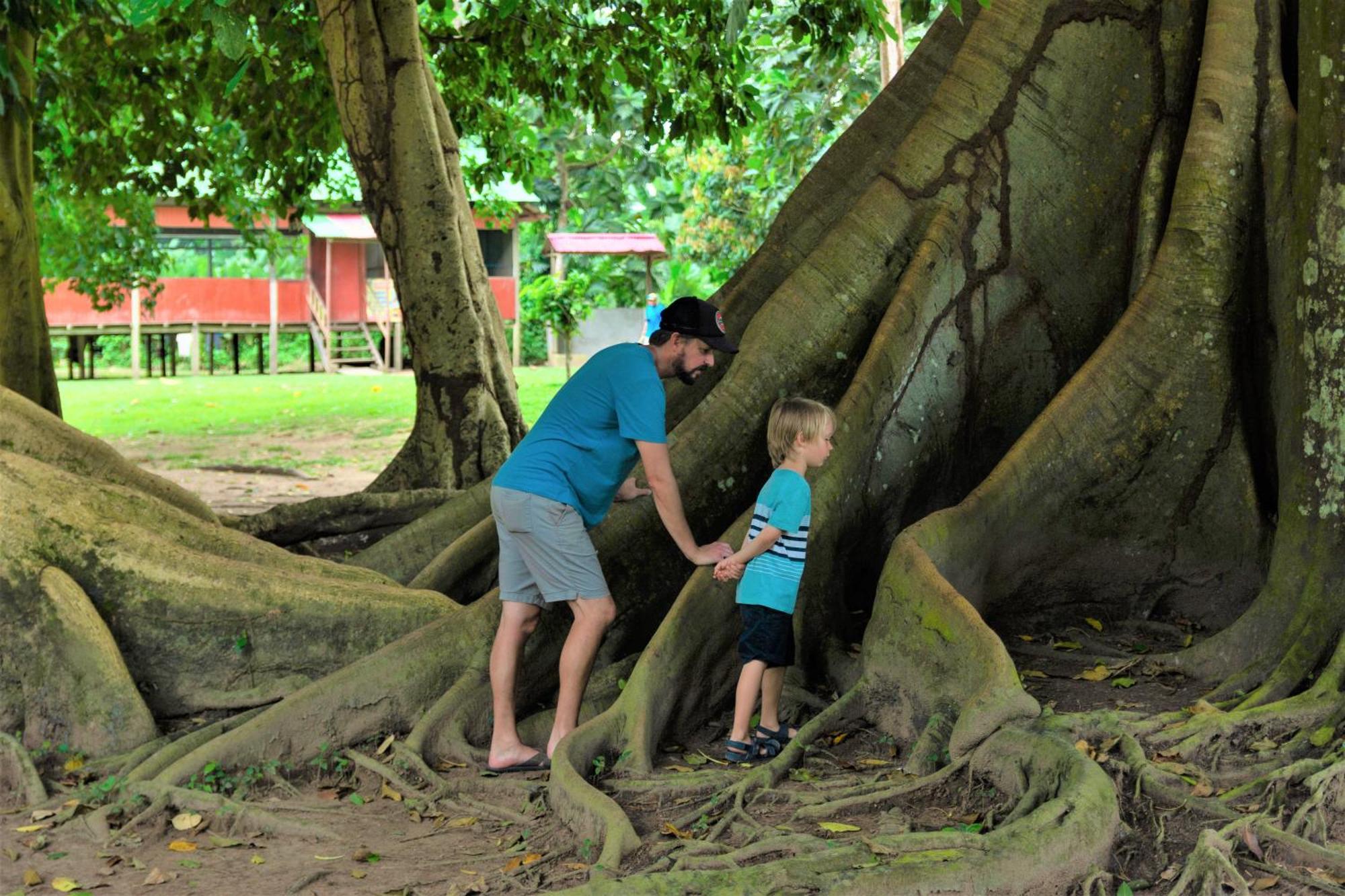 Avatar Amazon Lodge & Canopy Park Santa Teresa  Εξωτερικό φωτογραφία