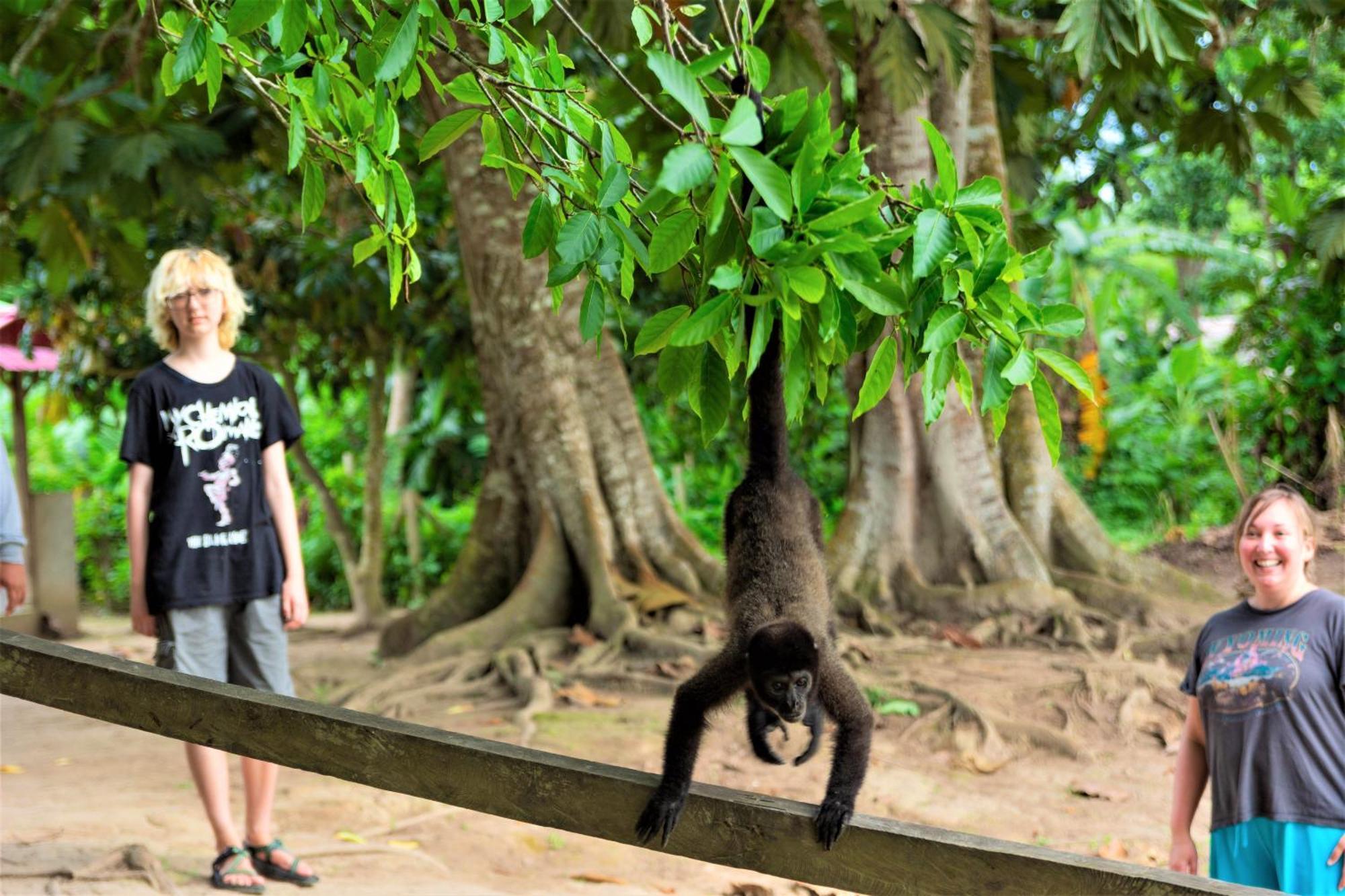 Avatar Amazon Lodge & Canopy Park Santa Teresa  Εξωτερικό φωτογραφία