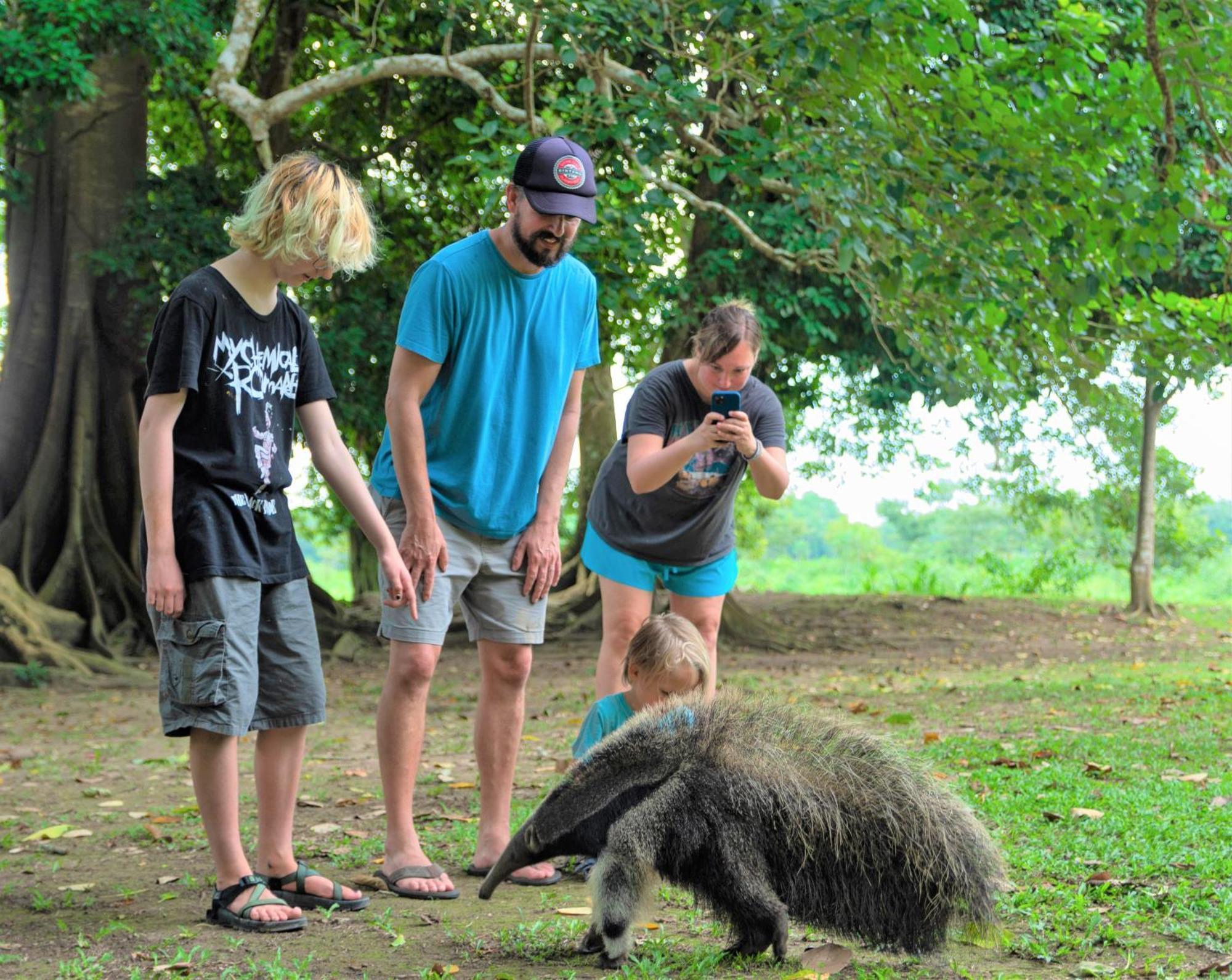 Avatar Amazon Lodge & Canopy Park Santa Teresa  Εξωτερικό φωτογραφία