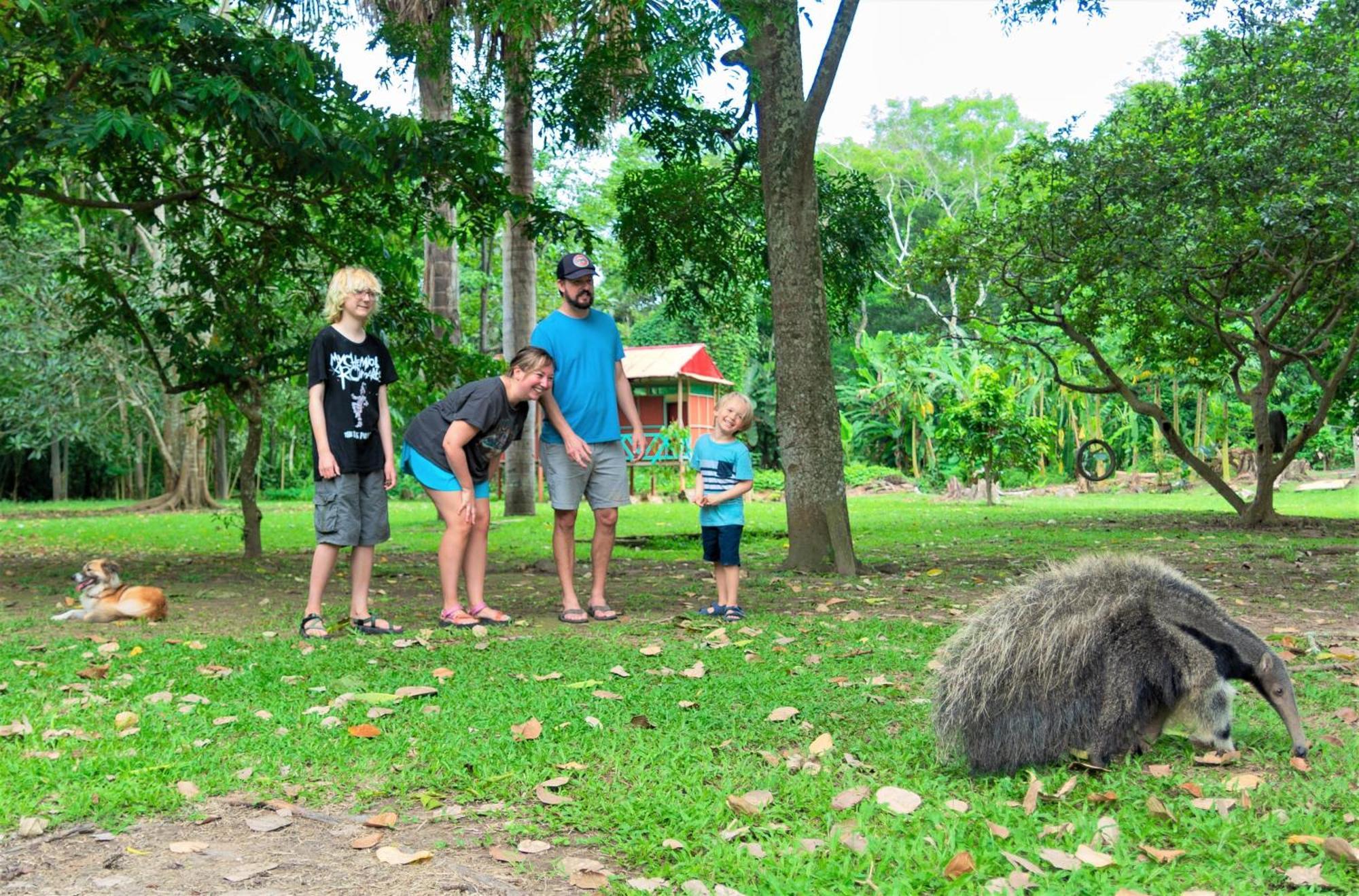 Avatar Amazon Lodge & Canopy Park Santa Teresa  Εξωτερικό φωτογραφία