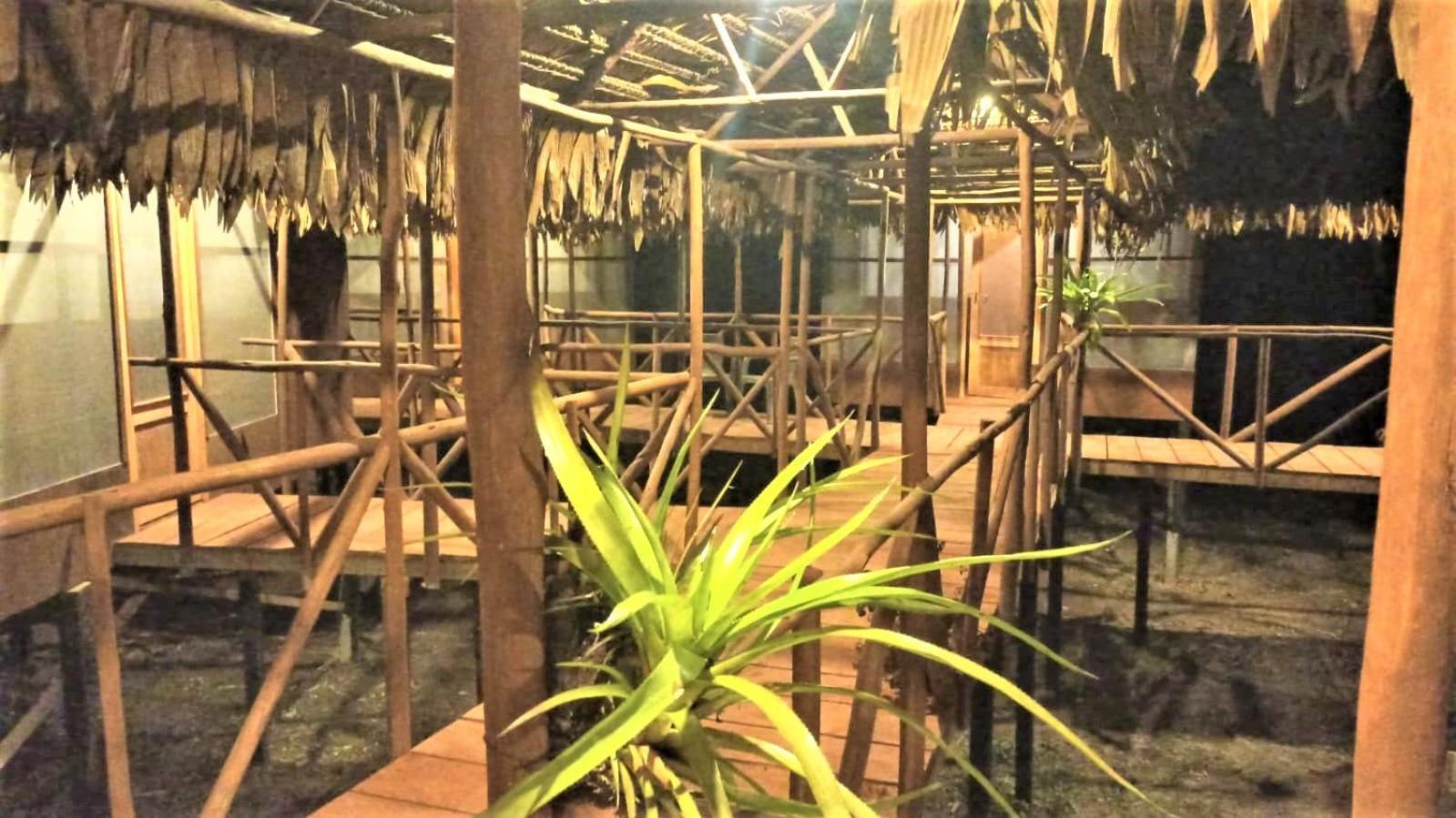 Avatar Amazon Lodge & Canopy Park Santa Teresa  Εξωτερικό φωτογραφία