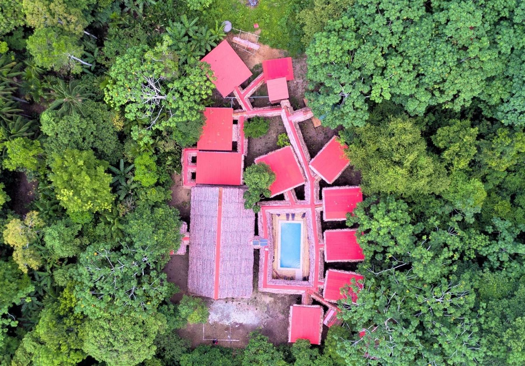 Avatar Amazon Lodge & Canopy Park Santa Teresa  Εξωτερικό φωτογραφία